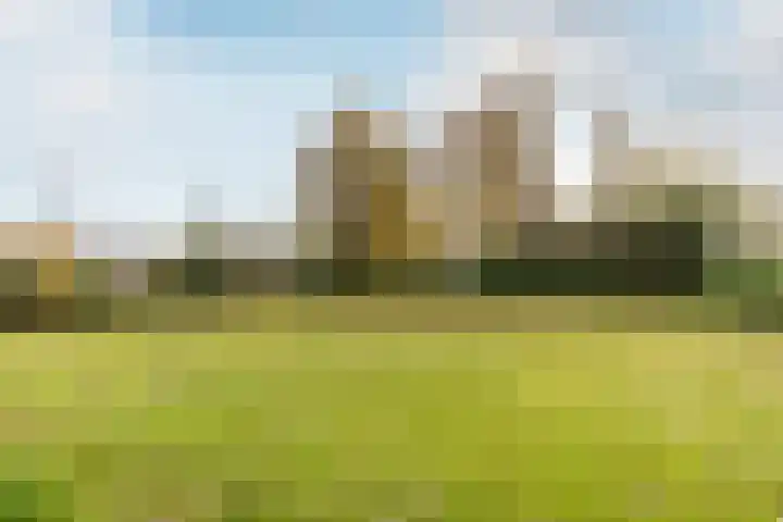 Udenhoutseweg 10 Helvoirt thumbnail 45
