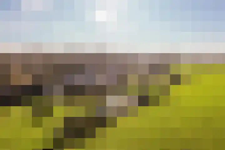 Udenhoutseweg 25 Helvoirt thumbnail 37