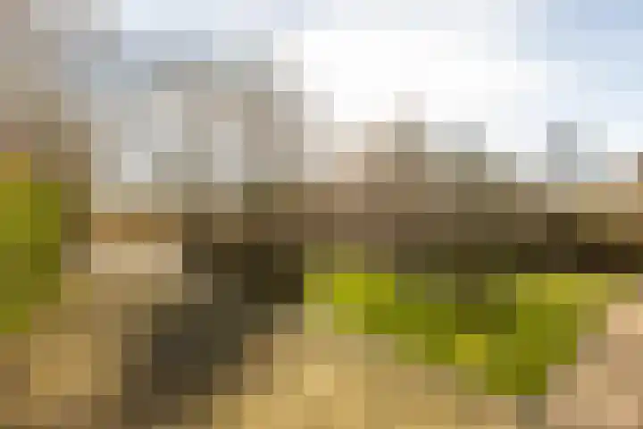 Udenhoutseweg 25 Helvoirt thumbnail 41