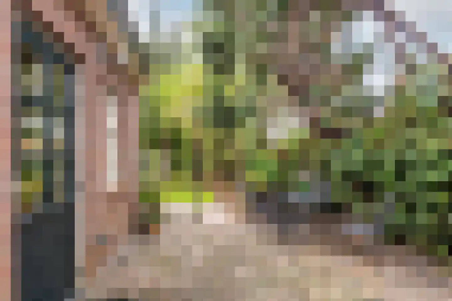 Udenhoutseweg 56 Helvoirt thumbnail 31