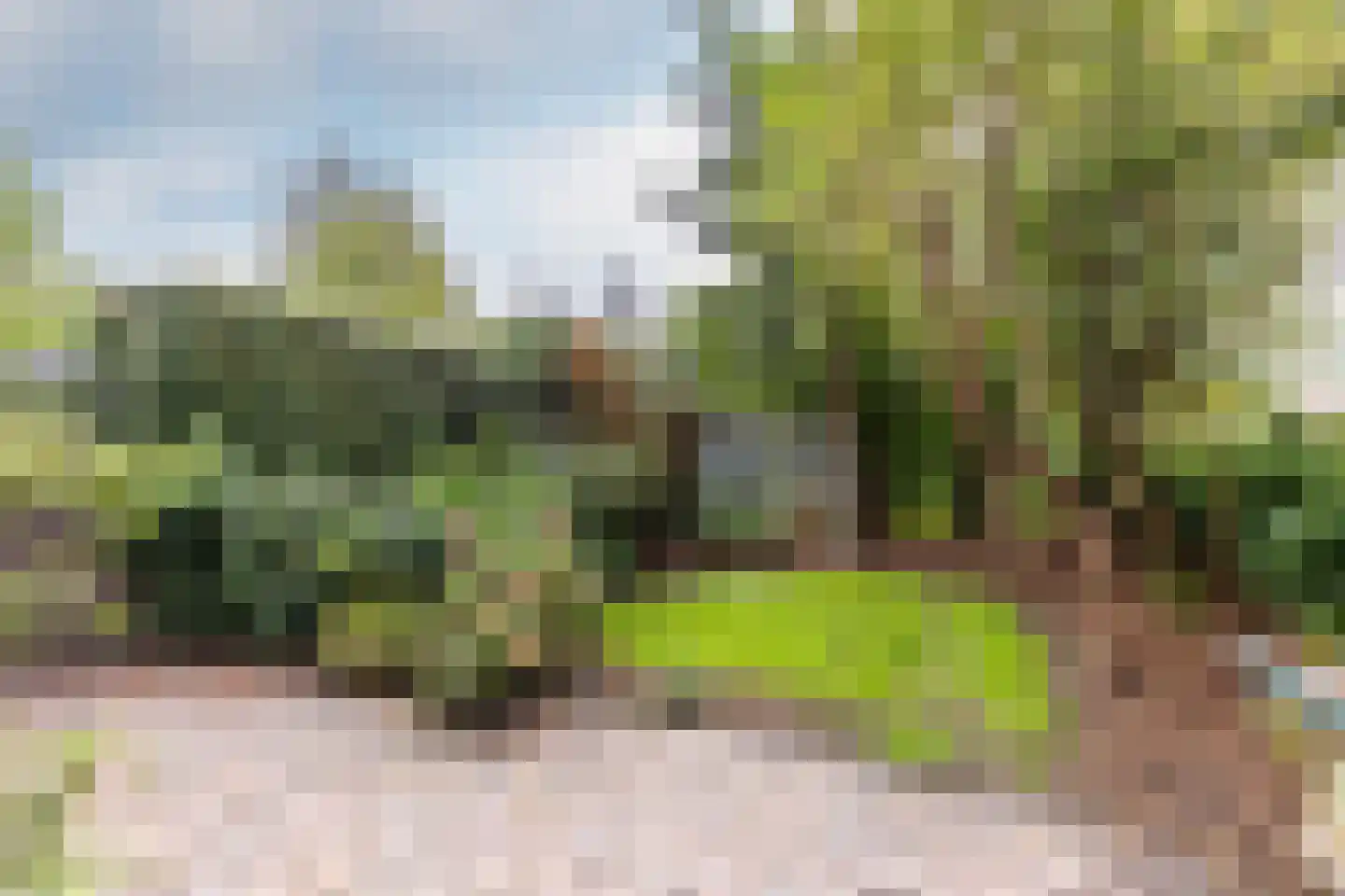 Udenhoutseweg 56 Helvoirt thumbnail 32