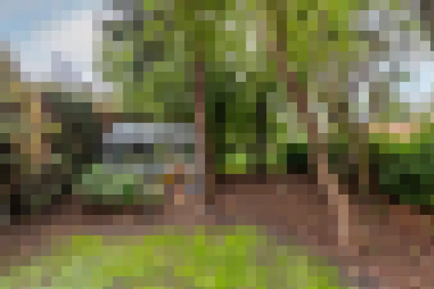 Udenhoutseweg 56 Helvoirt thumbnail 33