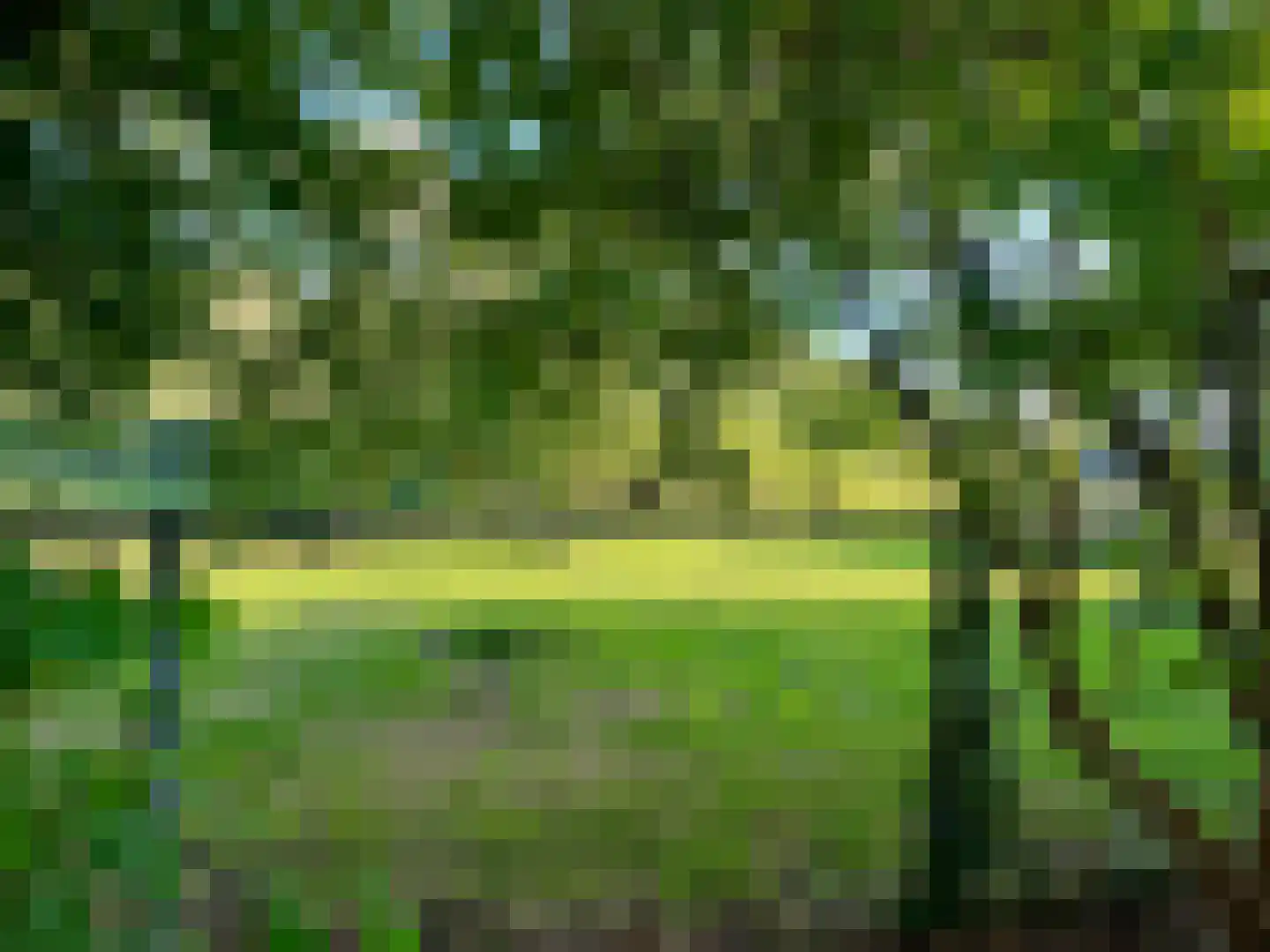 Udenhoutseweg 56 Helvoirt thumbnail 35
