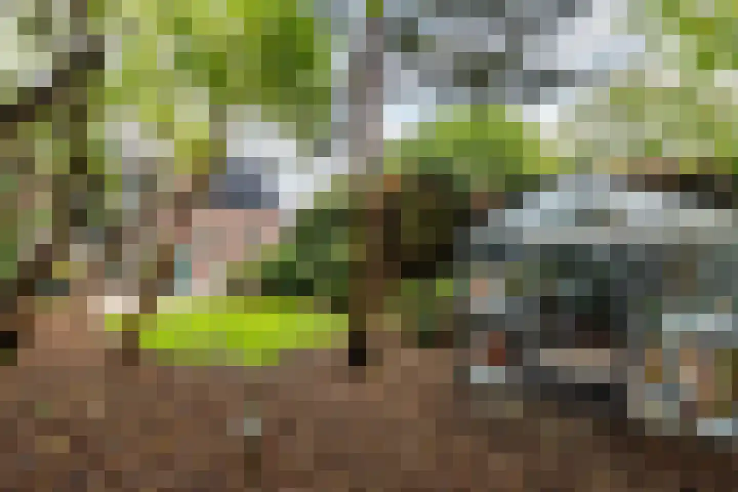 Udenhoutseweg 56 Helvoirt thumbnail 36
