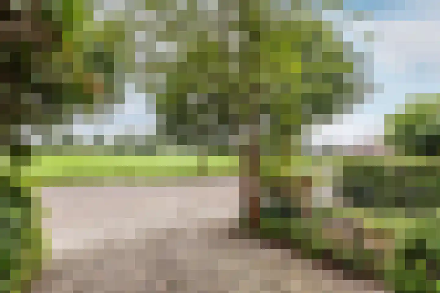 Udenhoutseweg 56 Helvoirt thumbnail 40