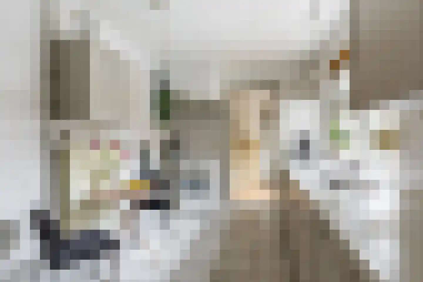 Udenhoutseweg 56 Helvoirt thumbnail 8