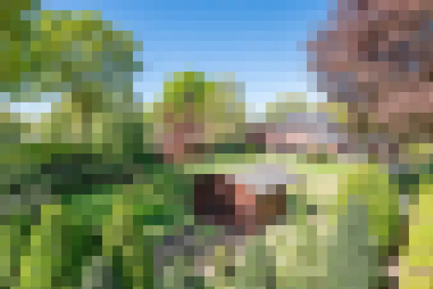 Udenseweg 13 Zeeland thumbnail 11
