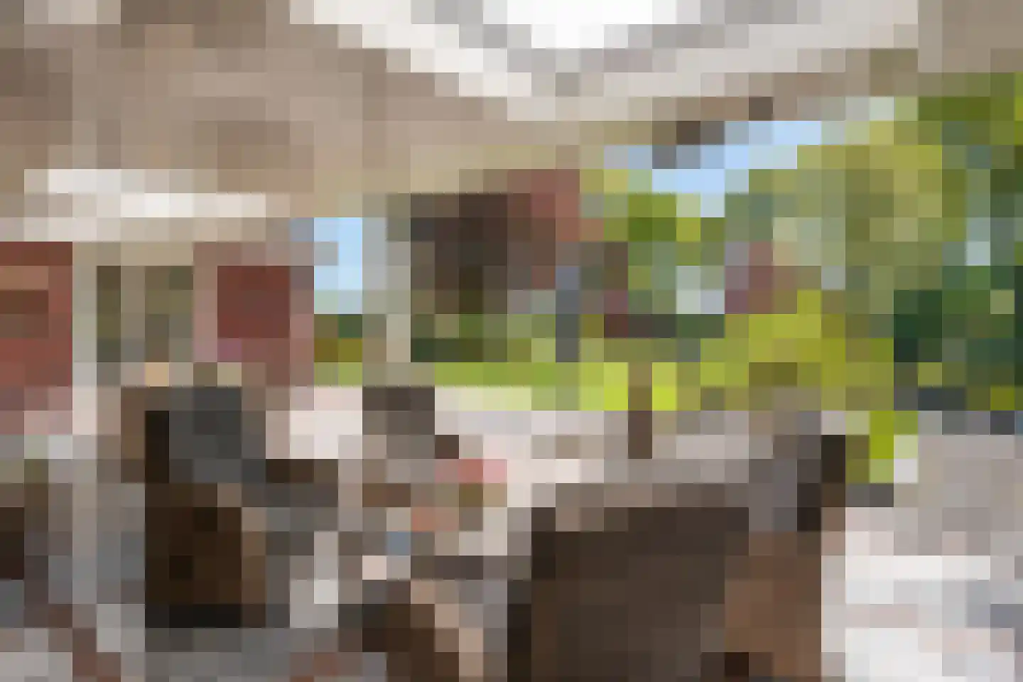 Udenseweg 13 Zeeland thumbnail 14