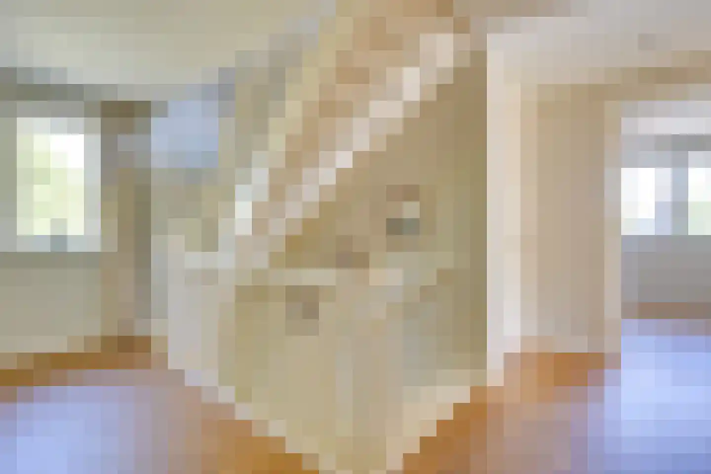 Udenseweg 13 Zeeland thumbnail 35