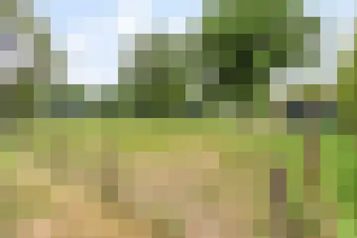 Udenseweg 24 Zeeland thumbnail 10
