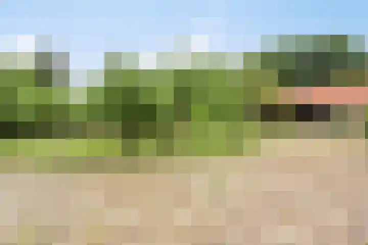 Udenseweg 24 Zeeland thumbnail 57