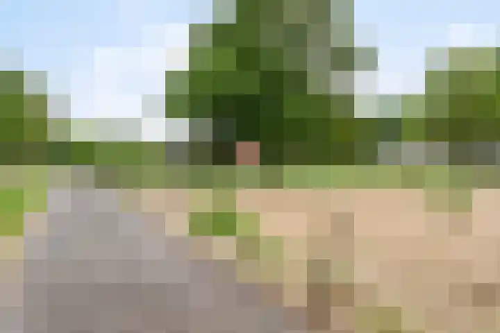 Udenseweg 24 Zeeland thumbnail 60