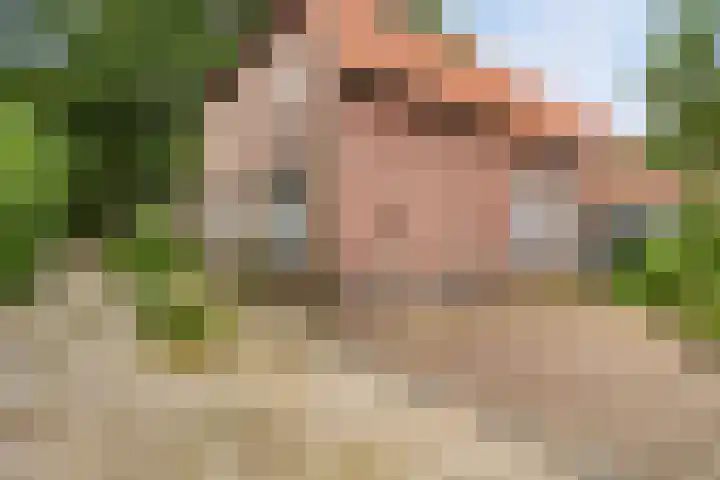 Udenseweg 24 Zeeland thumbnail 67