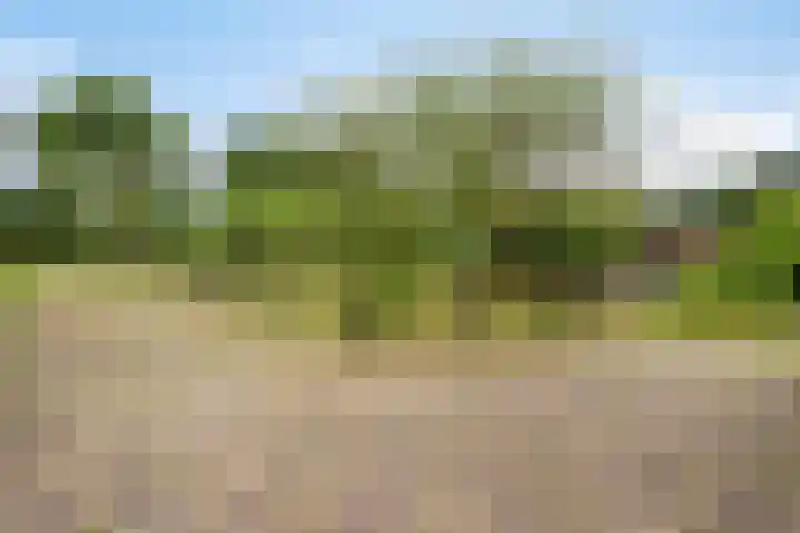 Udenseweg 24 Zeeland thumbnail 69