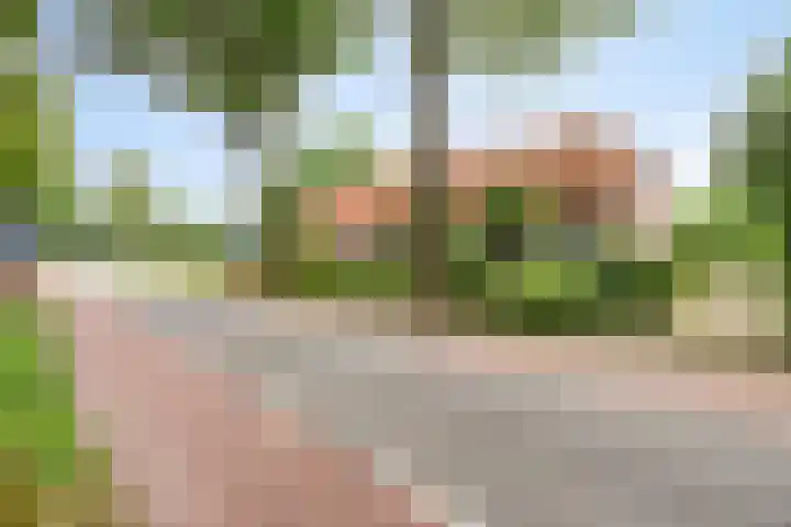 Udenseweg 24 Zeeland thumbnail 7