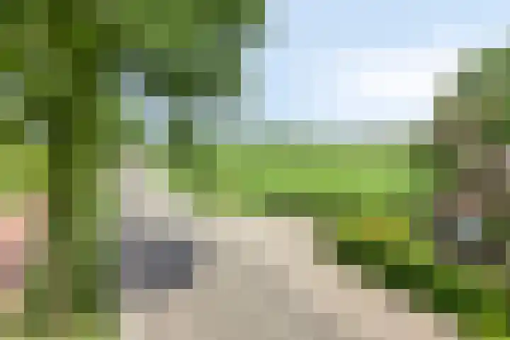 Udenseweg 7 a Nistelrode thumbnail 11