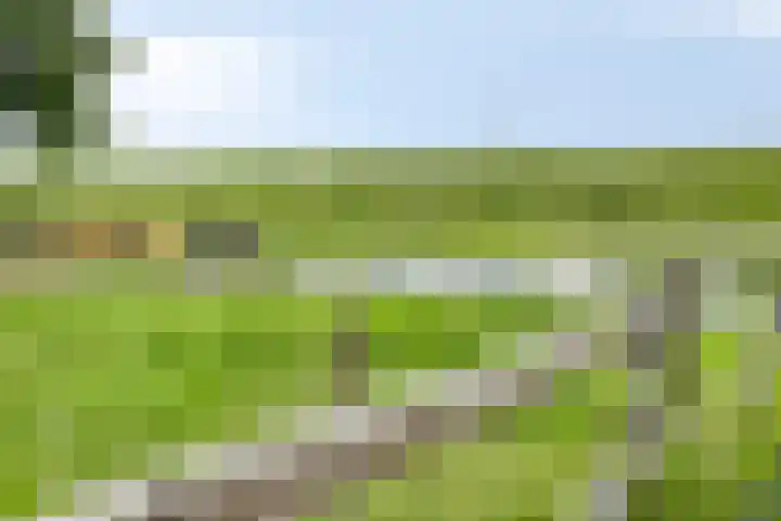 Udenseweg 7 a Nistelrode thumbnail 14