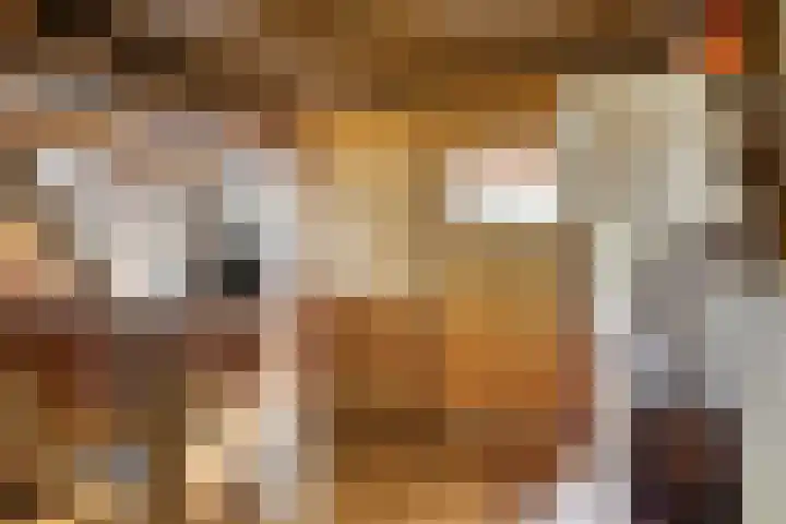 Udenseweg 7 a Nistelrode thumbnail 17