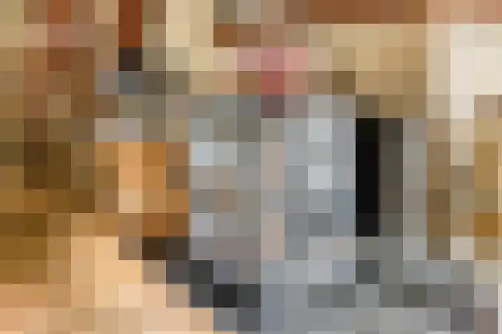 Udenseweg 7 a Nistelrode thumbnail 22