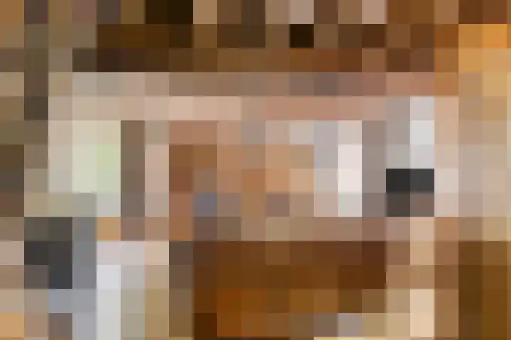 Udenseweg 7 a Nistelrode thumbnail 25