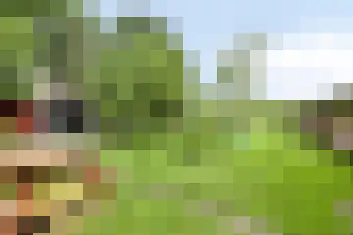 Udenseweg 7 a Nistelrode thumbnail 4
