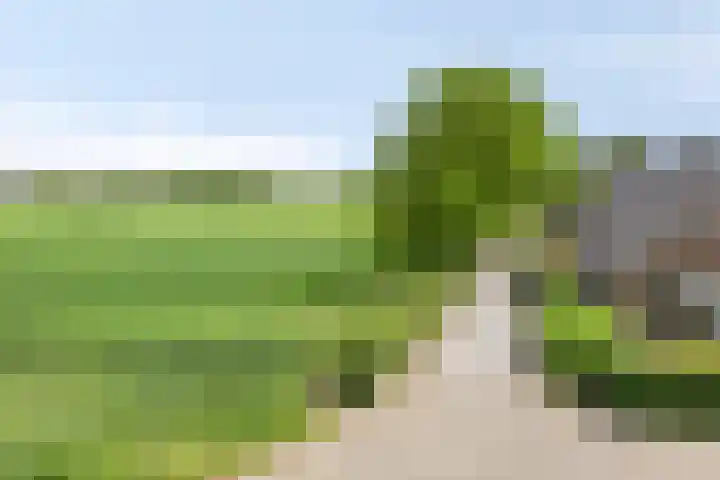 Udenseweg 7 a Nistelrode thumbnail 5