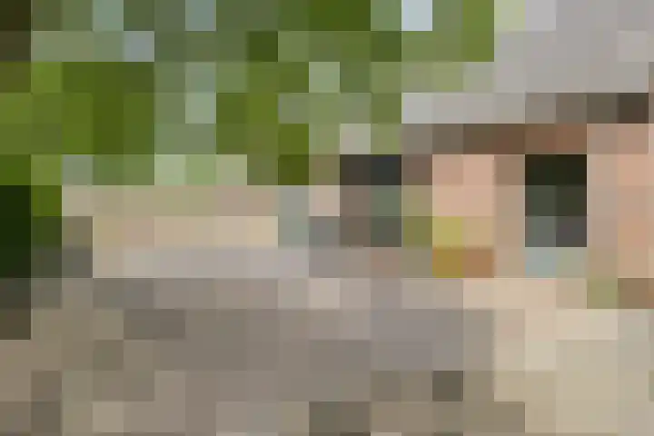 Udenseweg 7 a Nistelrode thumbnail 54