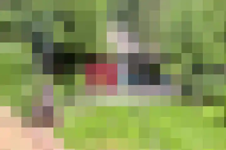 Udenseweg 7 a Nistelrode thumbnail 56