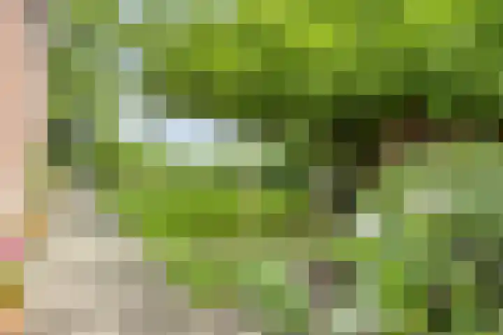 Udenseweg 7 a Nistelrode thumbnail 57