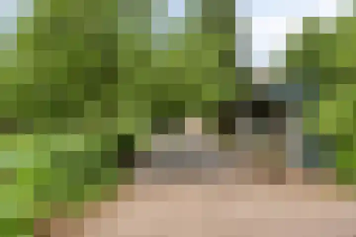Udenseweg 7 a Nistelrode thumbnail 59