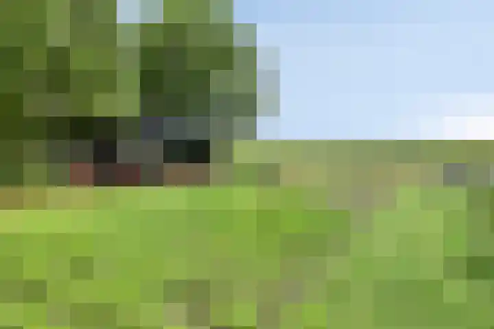 Udenseweg 7 a Nistelrode thumbnail 60