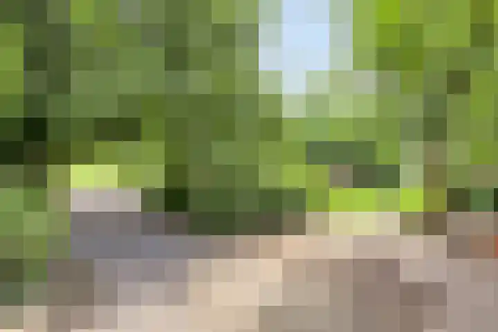 Udenseweg 7 a Nistelrode thumbnail 61