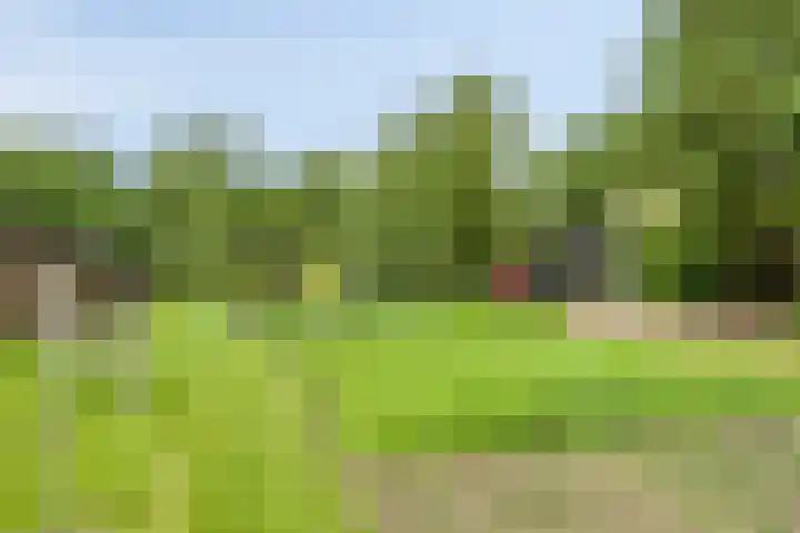 Udenseweg 7 a Nistelrode thumbnail 62