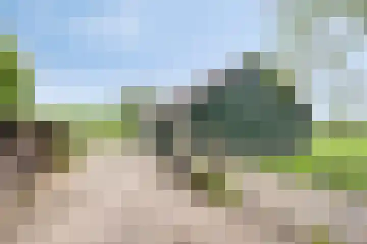 Udenseweg 7 a Nistelrode thumbnail 64