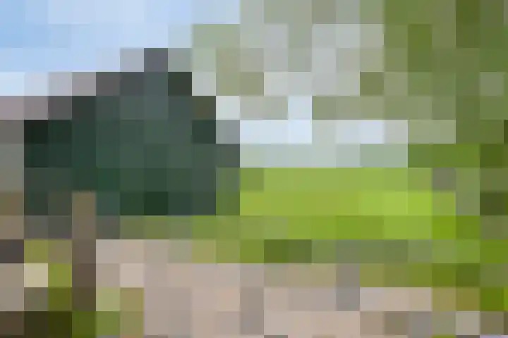 Udenseweg 7 a Nistelrode thumbnail 65