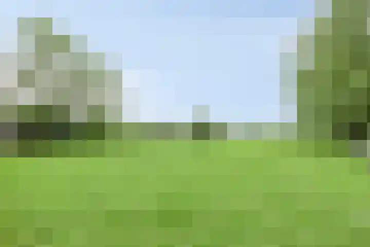 Udenseweg 7 a Nistelrode thumbnail 66