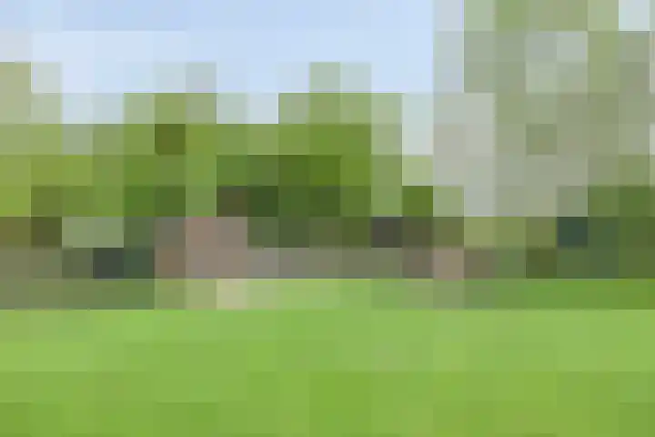 Udenseweg 7 a Nistelrode thumbnail 69