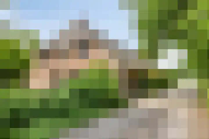 Udenseweg 7 a Nistelrode thumbnail 7