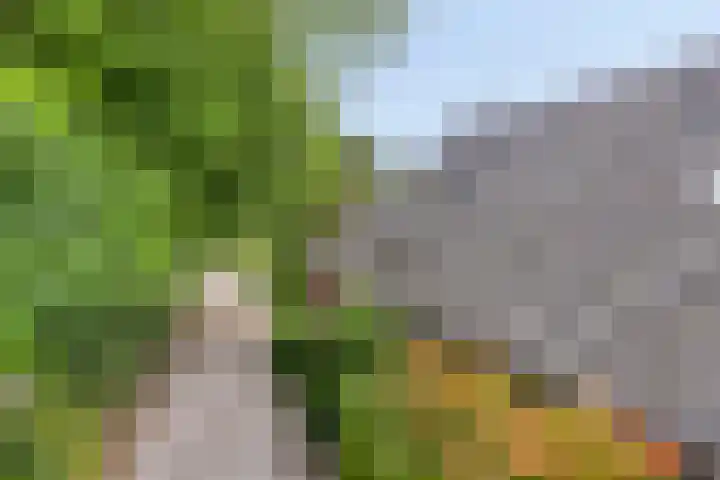 Udenseweg 7 a Nistelrode thumbnail 70