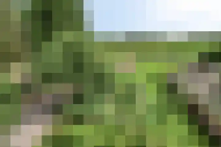 Udenseweg 7 a Nistelrode thumbnail 71