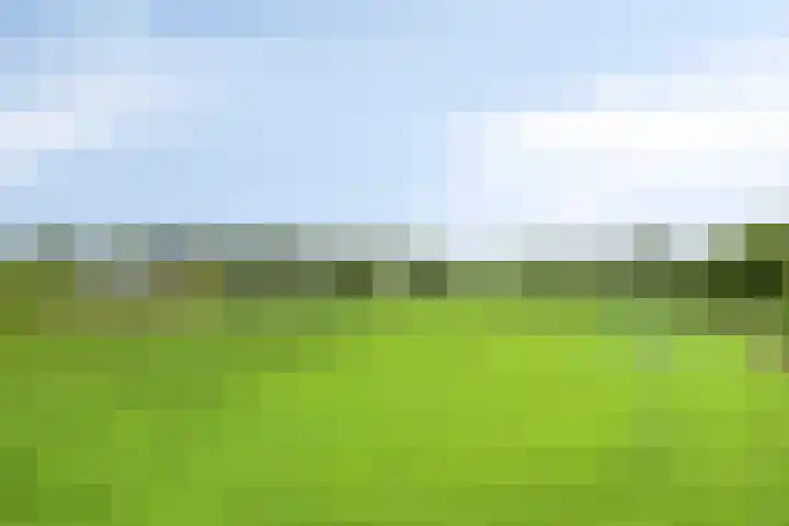 Udenseweg 7 a Nistelrode thumbnail 72
