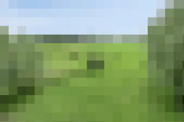 Udenseweg 7 a Nistelrode thumbnail 73