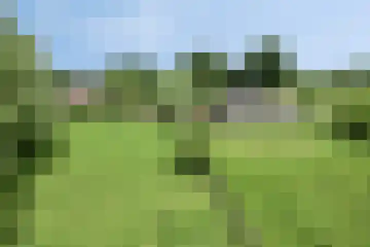 Udenseweg 7 a Nistelrode thumbnail 74