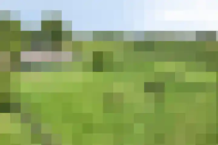 Udenseweg 7 a Nistelrode thumbnail 75