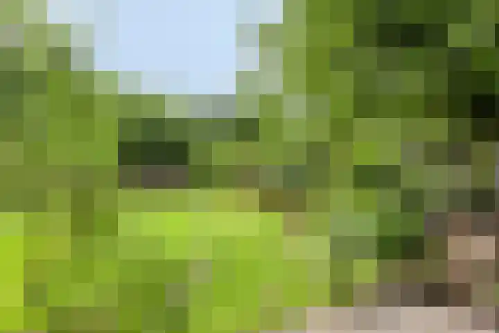 Udenseweg 7 a Nistelrode thumbnail 76