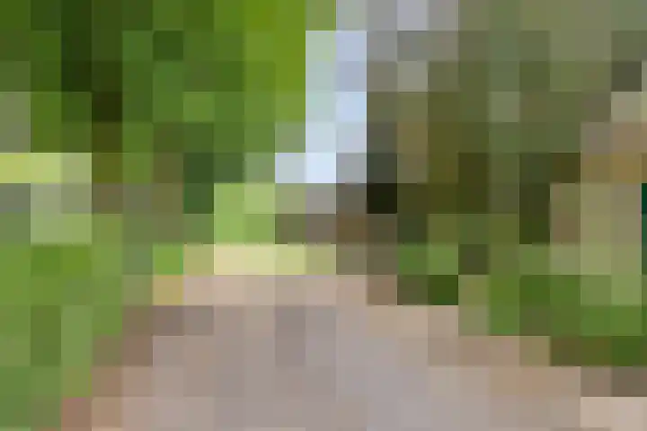 Udenseweg 7 a Nistelrode thumbnail 77