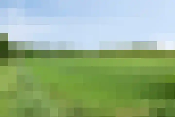 Udenseweg 7 a Nistelrode thumbnail 78