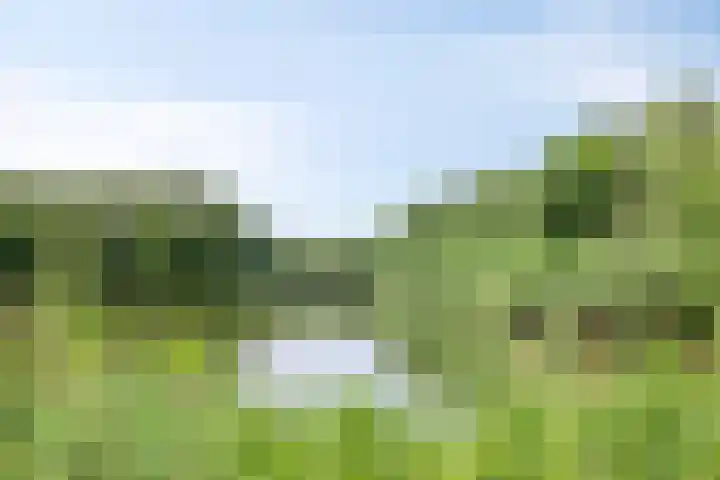 Udenseweg 7 a Nistelrode thumbnail 79