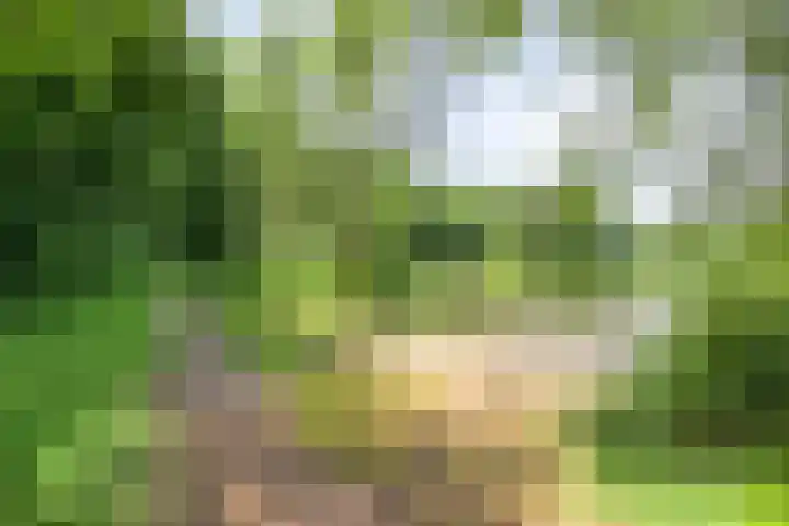 Udenseweg 7 a Nistelrode thumbnail 80