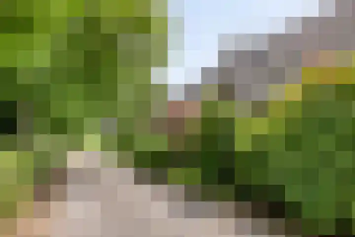 Udenseweg 7 a Nistelrode thumbnail 9